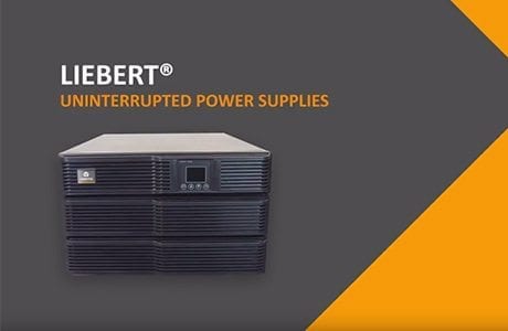 Trellis Ups Thumb.jpg